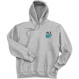 Atlantic City Seals Ultimate Cotton - Pullover Hooded Sweatshirt
